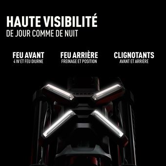 Segway Ninebot ZT3 Pro E - Trottinette Électrique Tout-Terrain